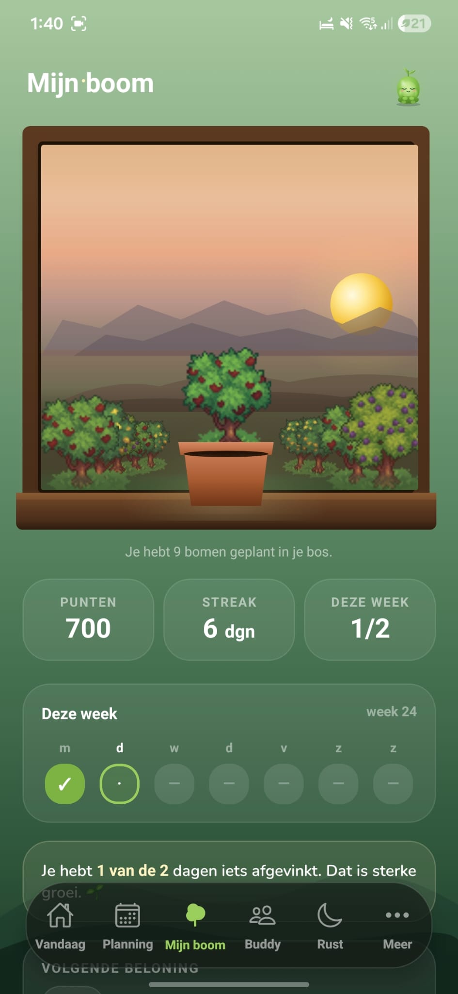 PowerPlan(t) app — the living window view